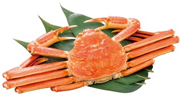 대게류(대게, 홍게)